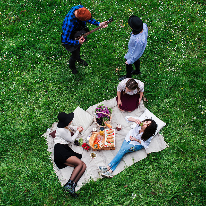 picnic with friends